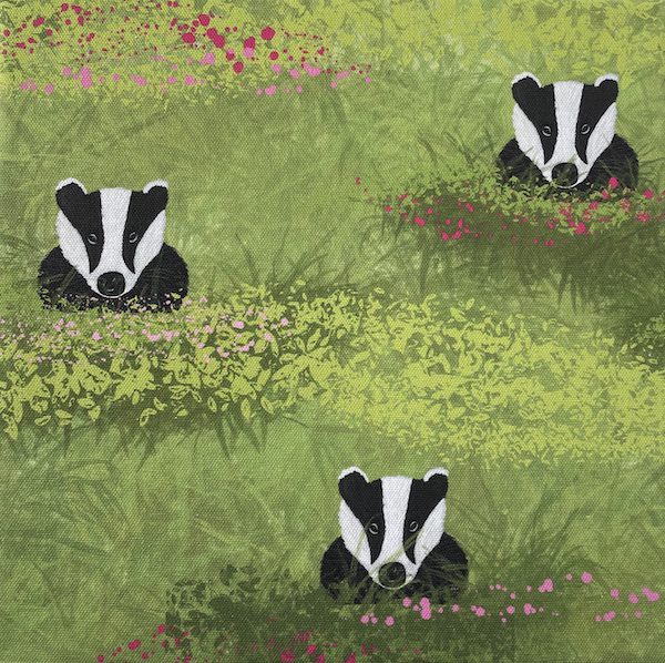 Badgers in the Border