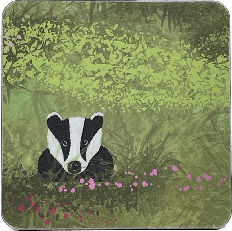 Badgers in the Border Coaster